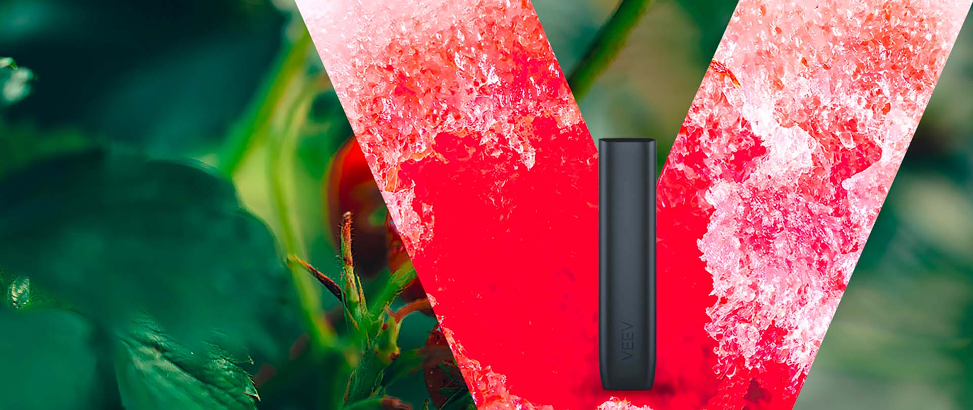 banner-main-veev-desktop